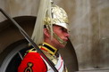 ochranca__londyn_2009