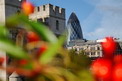 od_toweru__londyn_2009jpg